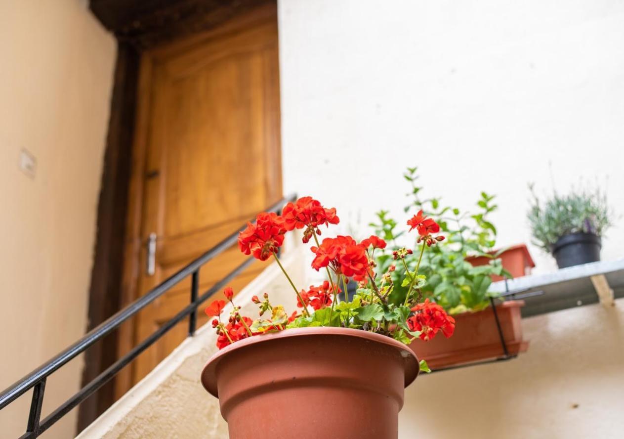 Apartament La Vue Du 36 Carcassonne Zewnętrze zdjęcie